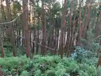 浅間神社の自然