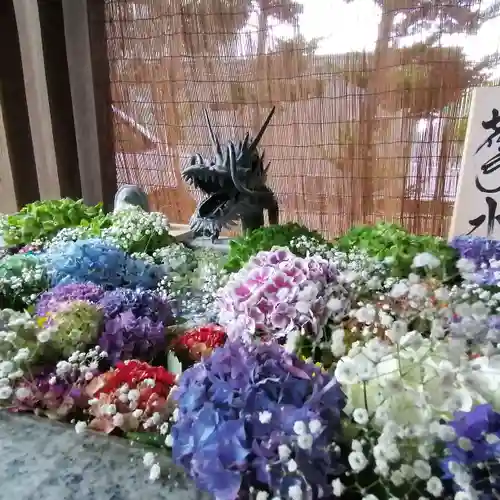 札幌諏訪神社の手水舎