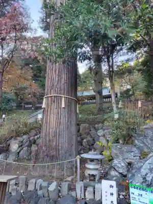 中氷川神社(埼玉県)