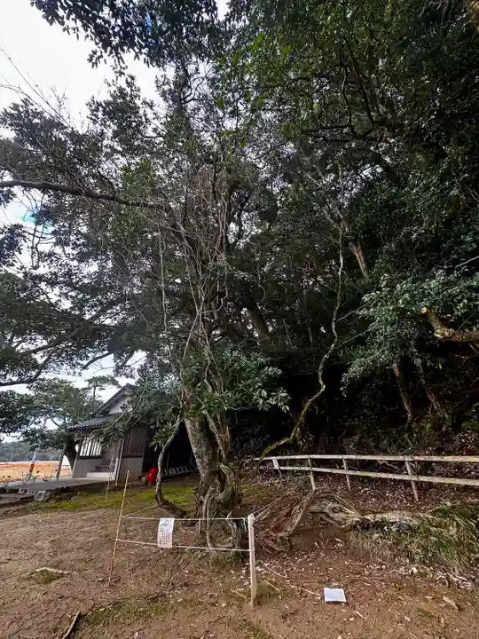 磯辺神社(京都府)