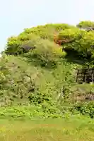 佐賀家稲荷社(北海道)