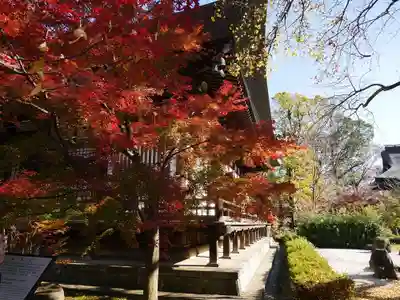 淨眞寺のその他建物