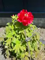 地持院(静岡県)