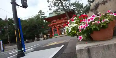 今宮神社(京都府)