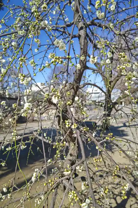 寛永寺(根本中堂)(東京都)