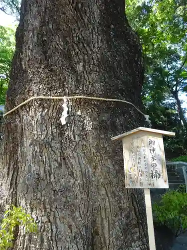 五所神社の自然