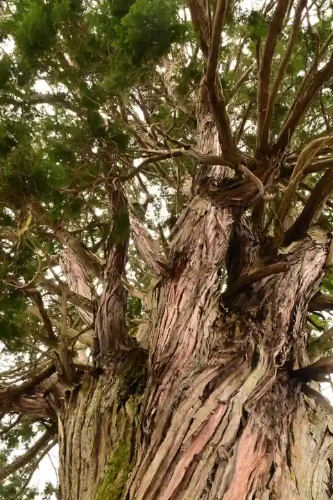 城上神社(島根県)