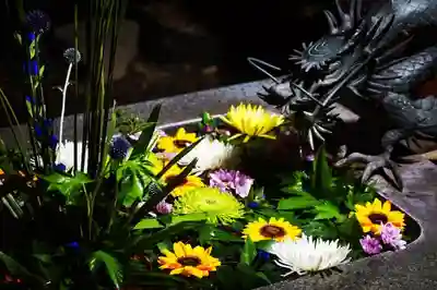 東海市熊野神社の手水舎