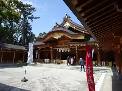 亀ケ池八幡宮の本殿・本堂