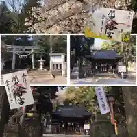 間々田八幡宮(栃木県)