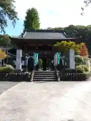 野坂寺の山門