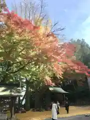 温泉神社〜いわき湯本温泉〜の自然