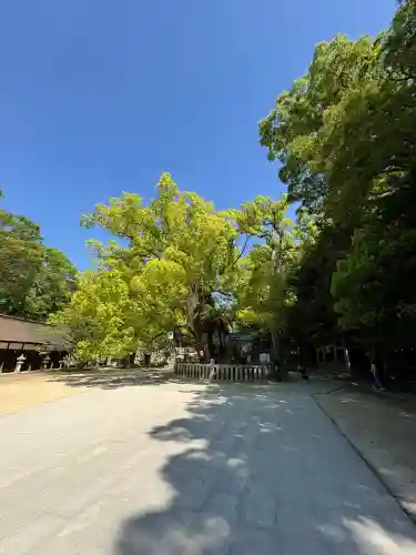 大山祇神社の{uncategorized: "未分類", other: "その他", undefined: "問題あり", building: "その他建物", grave: "お墓", sacred_gate: "鳥居", guardian: "狛犬", statue: "像", buddha: "仏像", history: "歴史", nature: "自然", garden: "庭園", animal: "動物", pagoda: "塔", temizu: "手水舎", mountain_gate: "山門・神門", sanctuary: "本殿・本堂", subordinate: "末社・摂社", art: "芸術", scenery: "景色", jizo: "地蔵", ema: "絵馬", goshuin: "御朱印", omikuji: "おみくじ", items: "授与品その他", amulet: "お守り", goshuincho: "御朱印帳", eats: "食事", festival: "お祭り", votive_dance: "神楽", shichigosan: "七五三参", wedding: "結婚式", experience: "体験その他", initially: "初詣", around: "周辺", anti_infection: "感染症対策"}