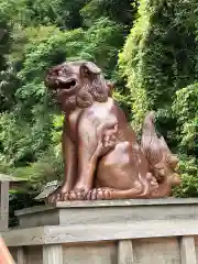 美保神社の狛犬