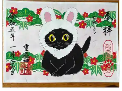 我が家にも黒猫をはじめ、病気や障害のある猫たちがいるので遠方から郵送対応して頂きました