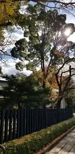 松先稲荷神社の自然