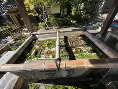 琴崎八幡宮の手水舎