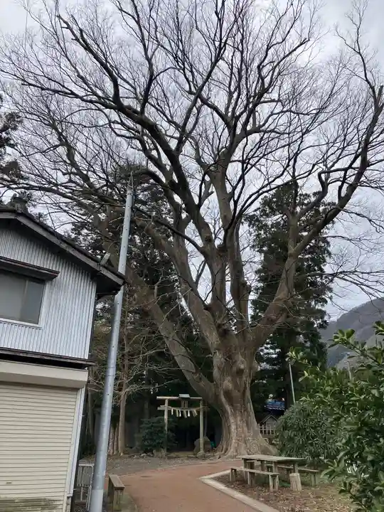上諏訪神社(彌彦神社末社)(新潟県)