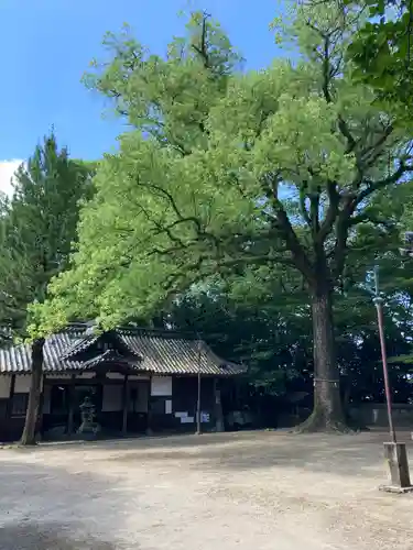 伊居太神社のその他建物