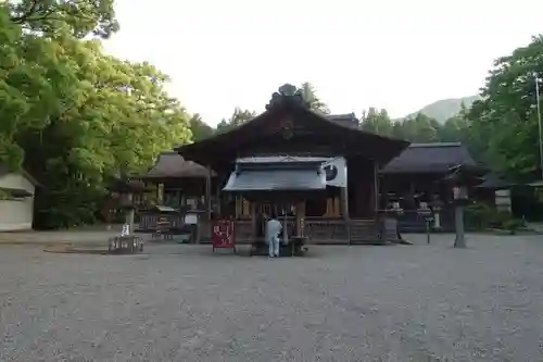 土佐神社の本殿・本堂