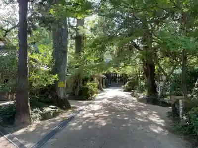 浄瑠璃寺(愛媛県)