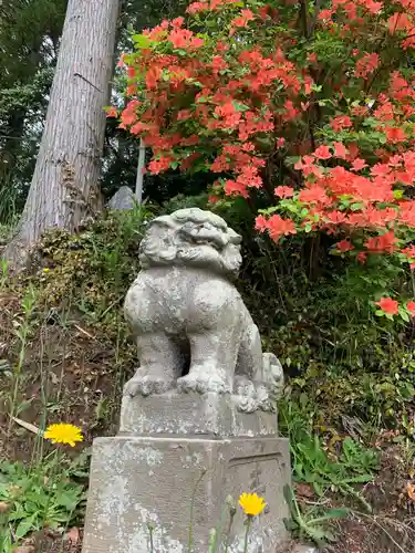 犬飼神社の狛犬