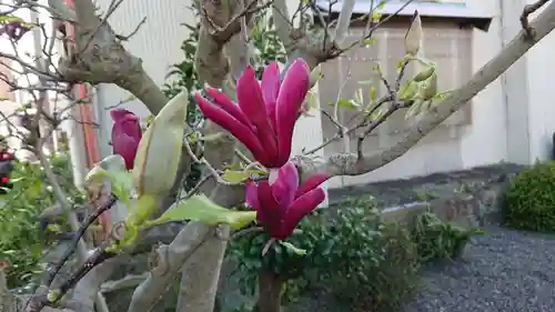 上総稲荷神社(静岡県)