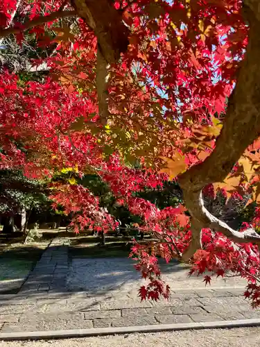 東漸寺(千葉県)
