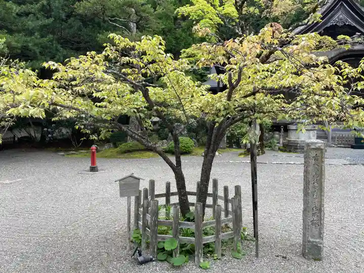 光台院(和歌山県)