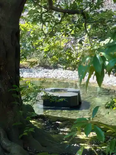 寒川神社(神奈川県)