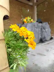 厚別神社(北海道)(2024年07月13日(土) 10時59分22秒投稿)