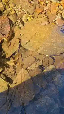 武蔵御嶽神社(東京都)