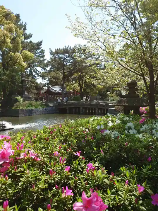 住吉大社(大阪府)