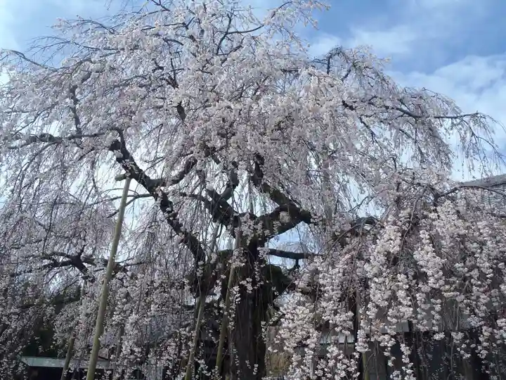 金剛寺(愛知県)