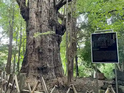 王子神社(東京都)