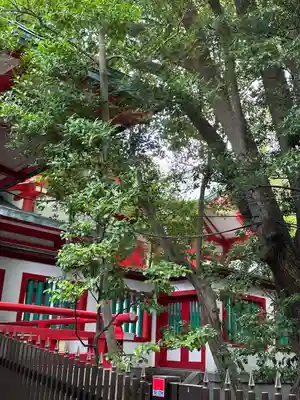 富岡八幡宮の本殿・本堂