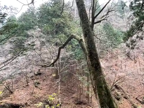 榛名神社の自然