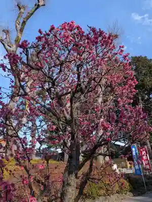 中野沼袋氷川神社(東京都)