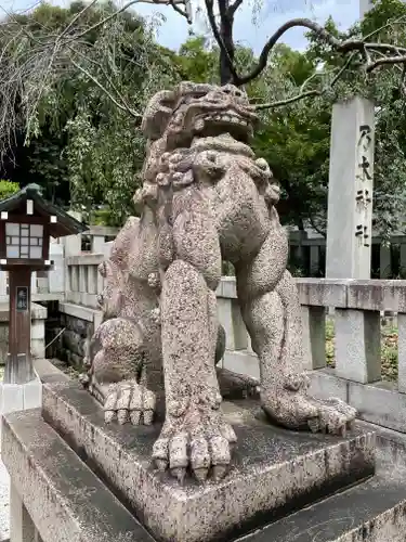 乃木神社の狛犬