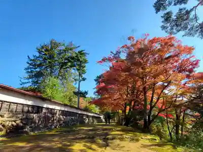 円蔵寺のその他建物