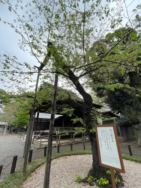 靖國神社の自然