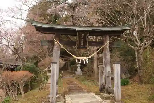 白幡神社の鳥居