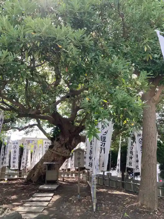 龍口明神社の自然