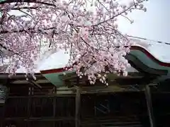 糸沢　龍福寺の自然