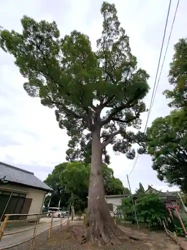 都波岐奈加等神社(三重県)