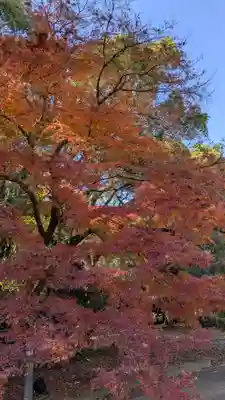 半木神社（賀茂別雷神社境外末社）(京都府)