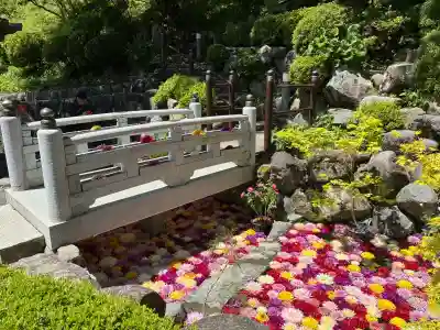 岡寺（龍蓋寺）の{uncategorized: "未分類", other: "その他", undefined: "問題あり", building: "その他建物", grave: "お墓", sacred_gate: "鳥居", guardian: "狛犬", statue: "像", buddha: "仏像", history: "歴史", nature: "自然", garden: "庭園", animal: "動物", pagoda: "塔", temizu: "手水舎", mountain_gate: "山門・神門", sanctuary: "本殿・本堂", subordinate: "末社・摂社", art: "芸術", scenery: "景色", jizo: "地蔵", ema: "絵馬", goshuin: "御朱印", omikuji: "おみくじ", items: "授与品その他", amulet: "お守り", goshuincho: "御朱印帳", eats: "食事", festival: "お祭り", votive_dance: "神楽", shichigosan: "七五三参", wedding: "結婚式", experience: "体験その他", initially: "初詣", around: "周辺", anti_infection: "感染症対策"}