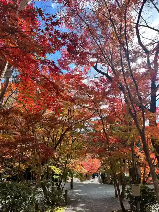 神峯山寺(大阪府)