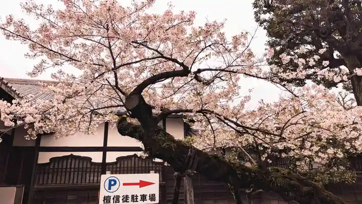 寛永寺(根本中堂)の自然