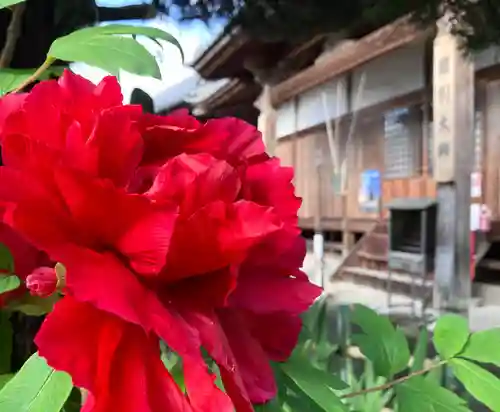 真言宗　善通寺派　薬王寺(香川県)